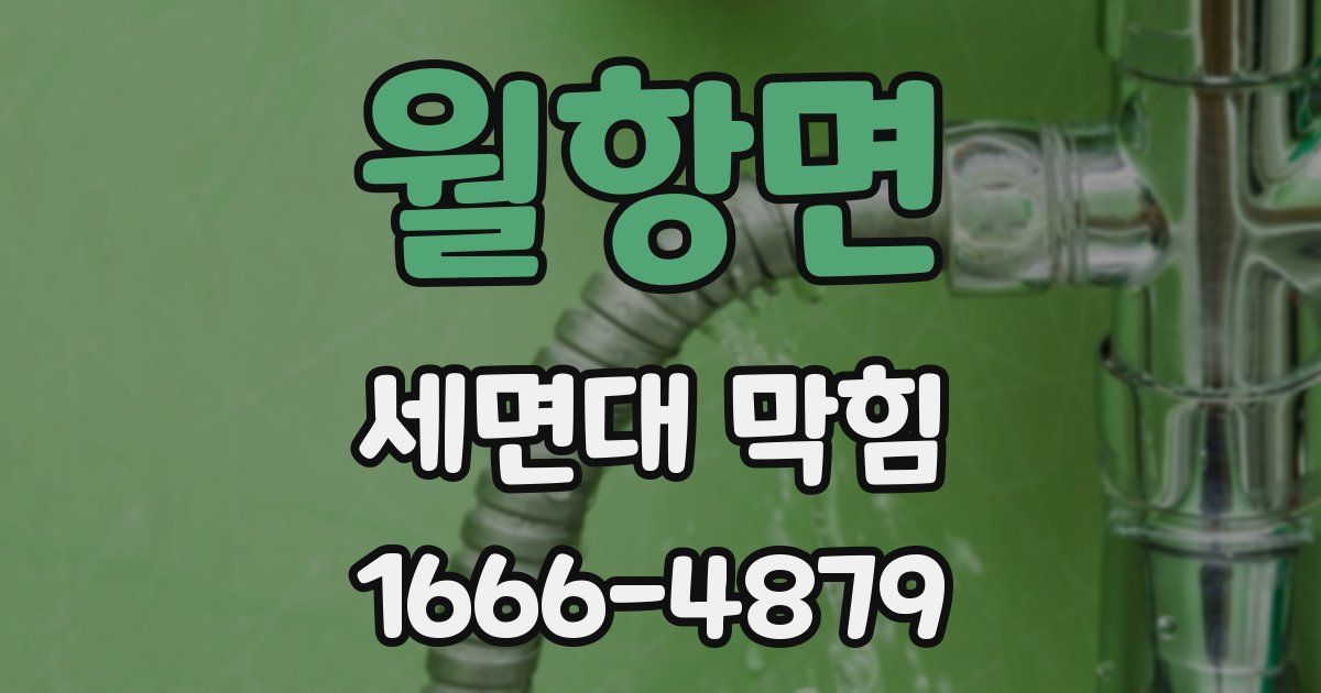 월항면 세면대 막힘