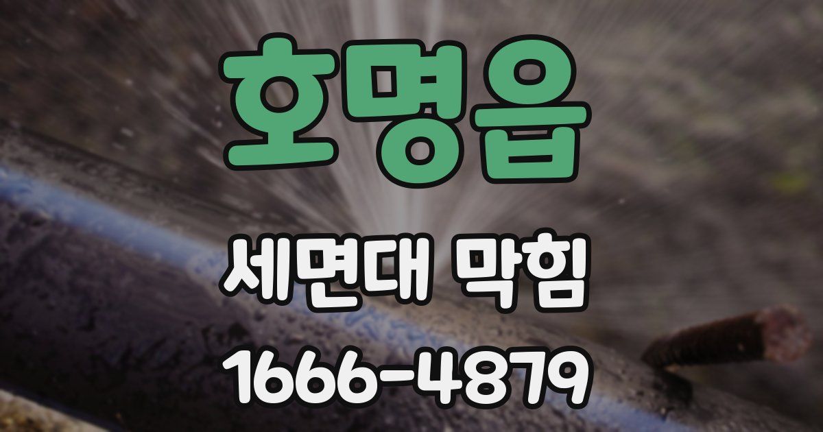 호명읍 세면대 막힘