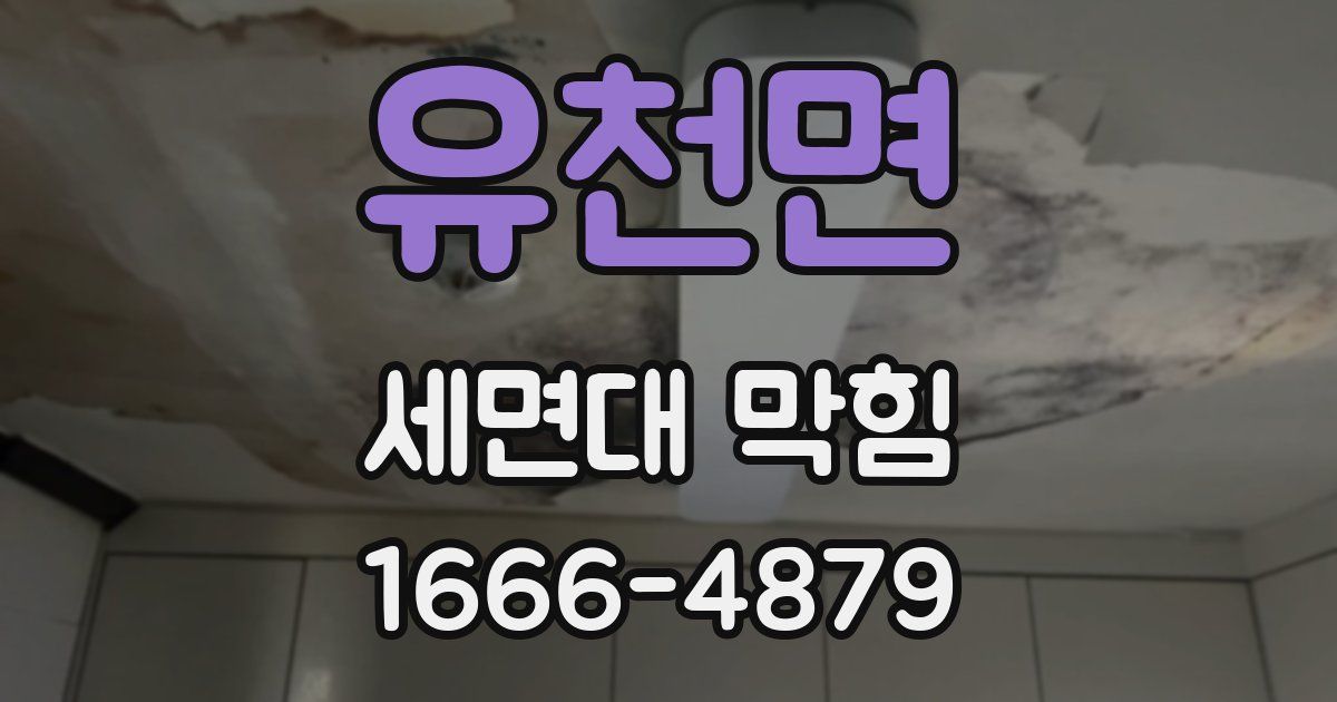 유천면 세면대 막힘