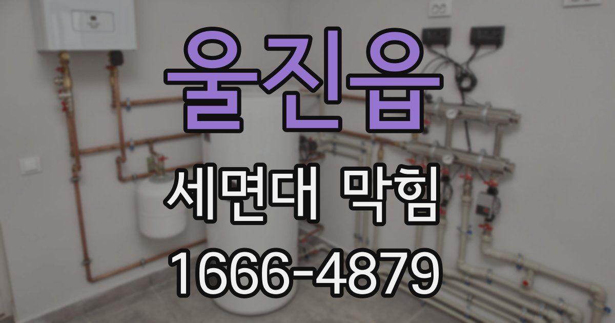 울진읍 세면대 막힘