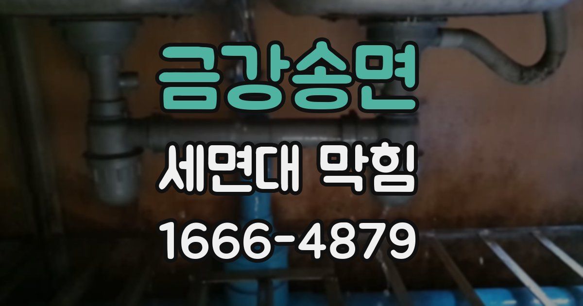 금강송면 세면대 막힘