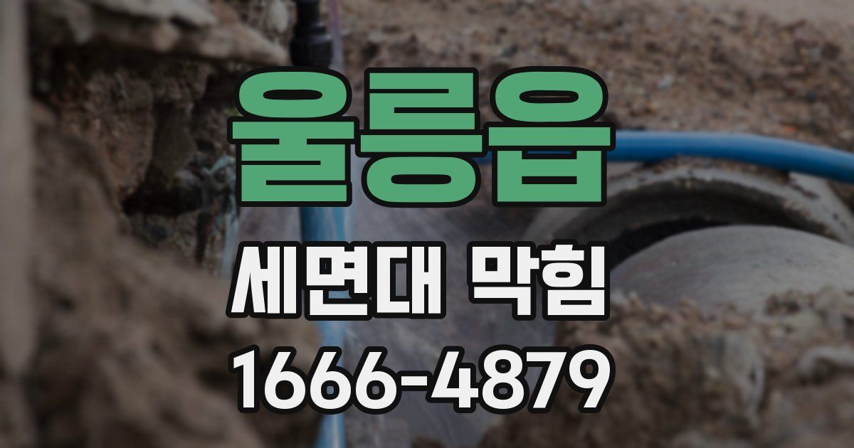 울릉읍 세면대 막힘