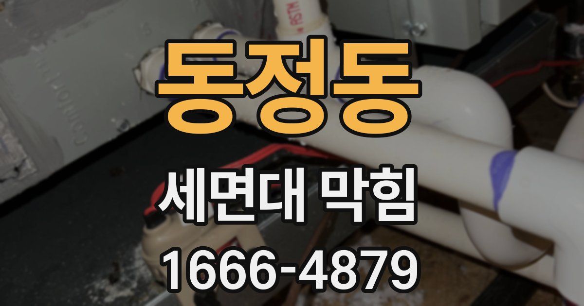 동정동 세면대 막힘