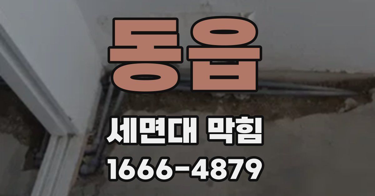 동읍 세면대 막힘