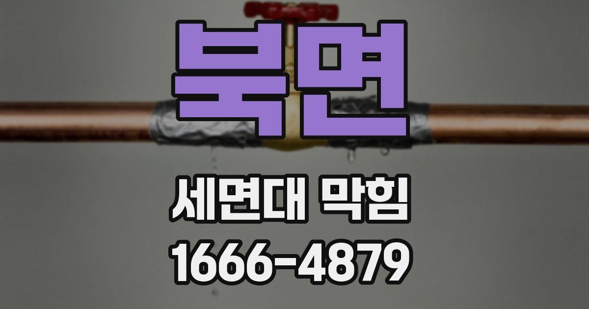 북면 세면대 막힘