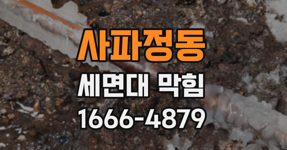 사파정동 세면대 막힘