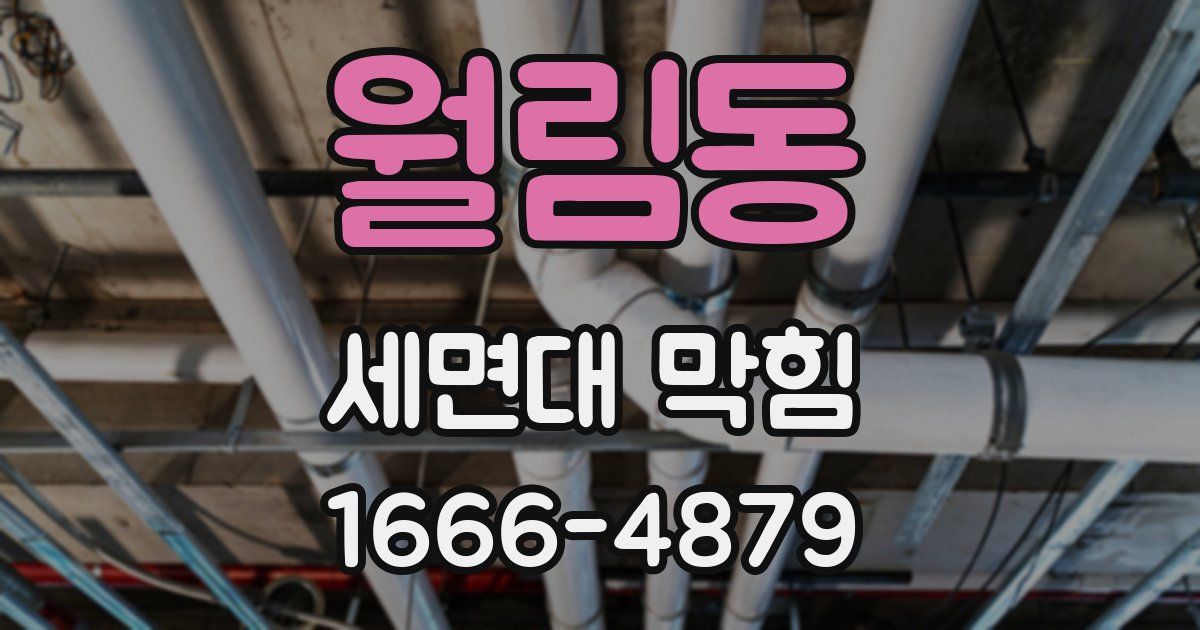 월림동 세면대 막힘