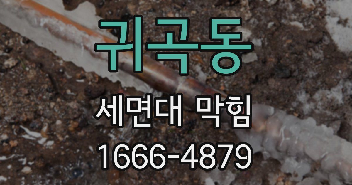 귀곡동 세면대 막힘
