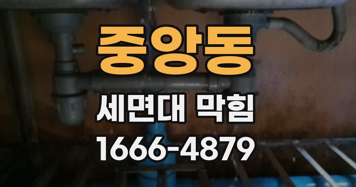 중앙동 세면대 막힘