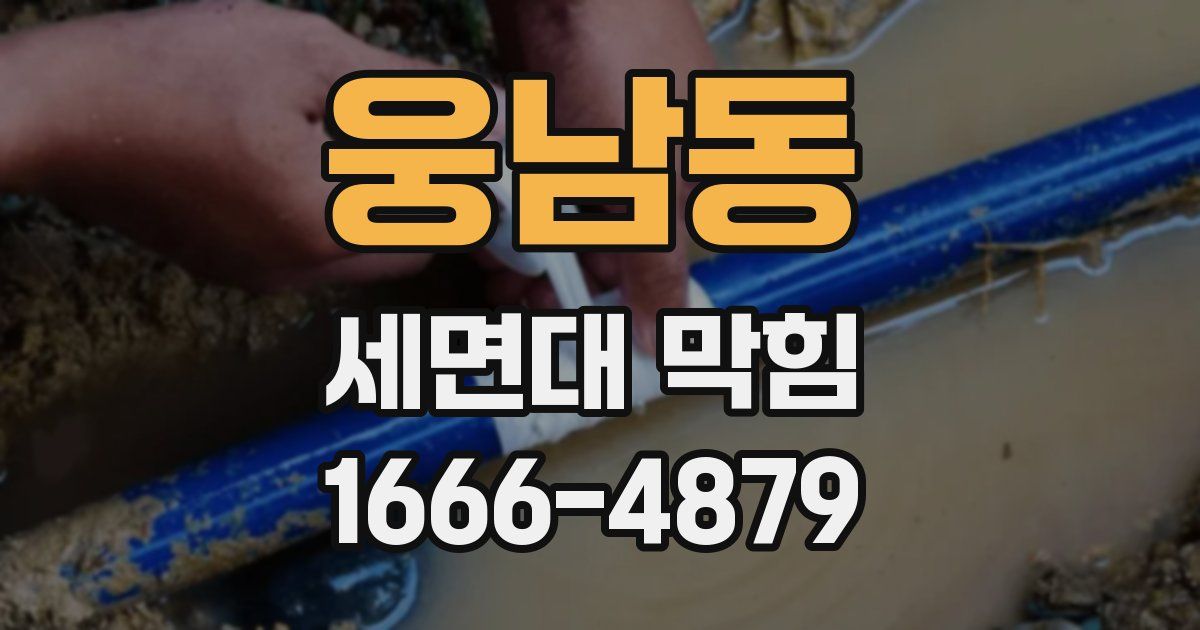 웅남동 세면대 막힘