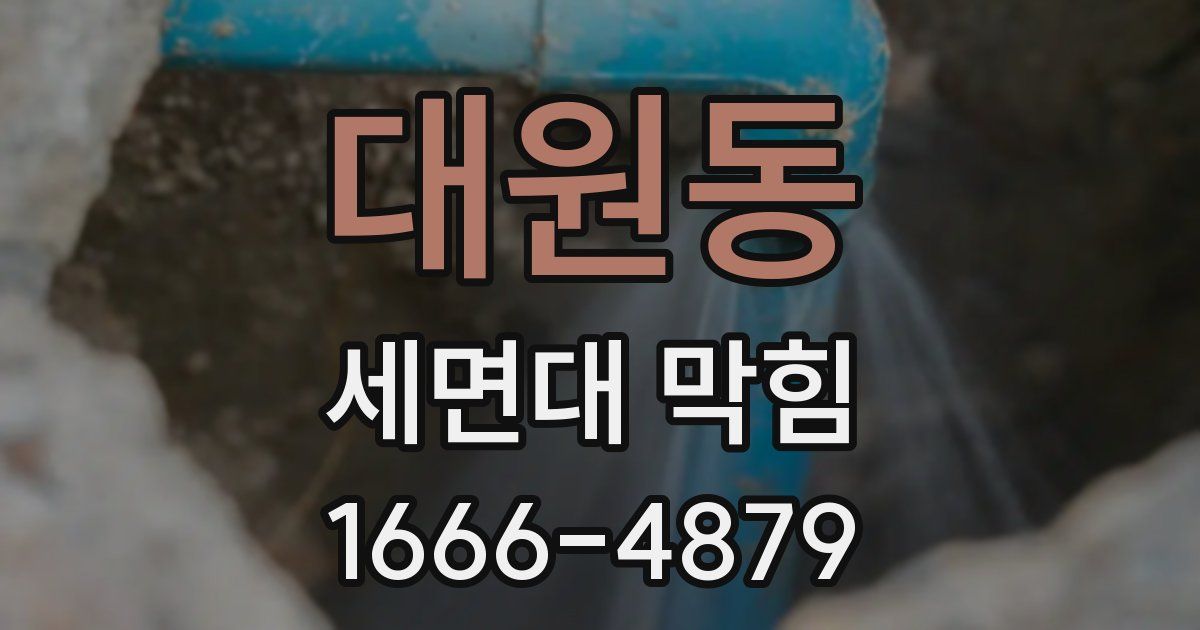 대원동 세면대 막힘