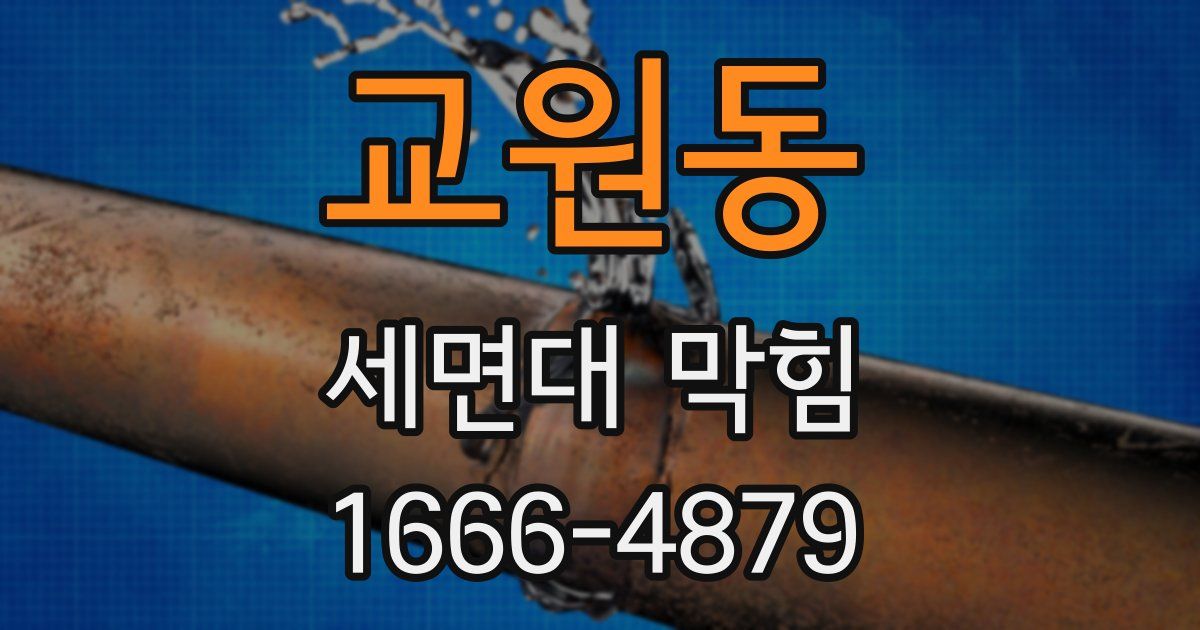 교원동 세면대 막힘