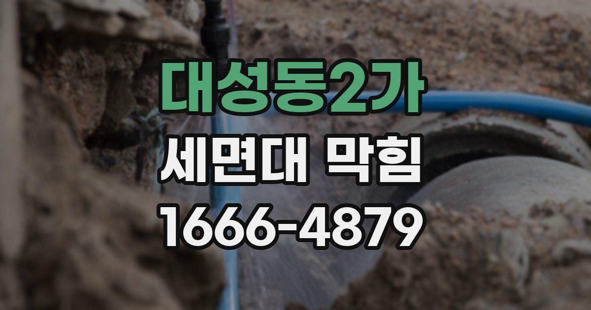 대성동2가 세면대 막힘