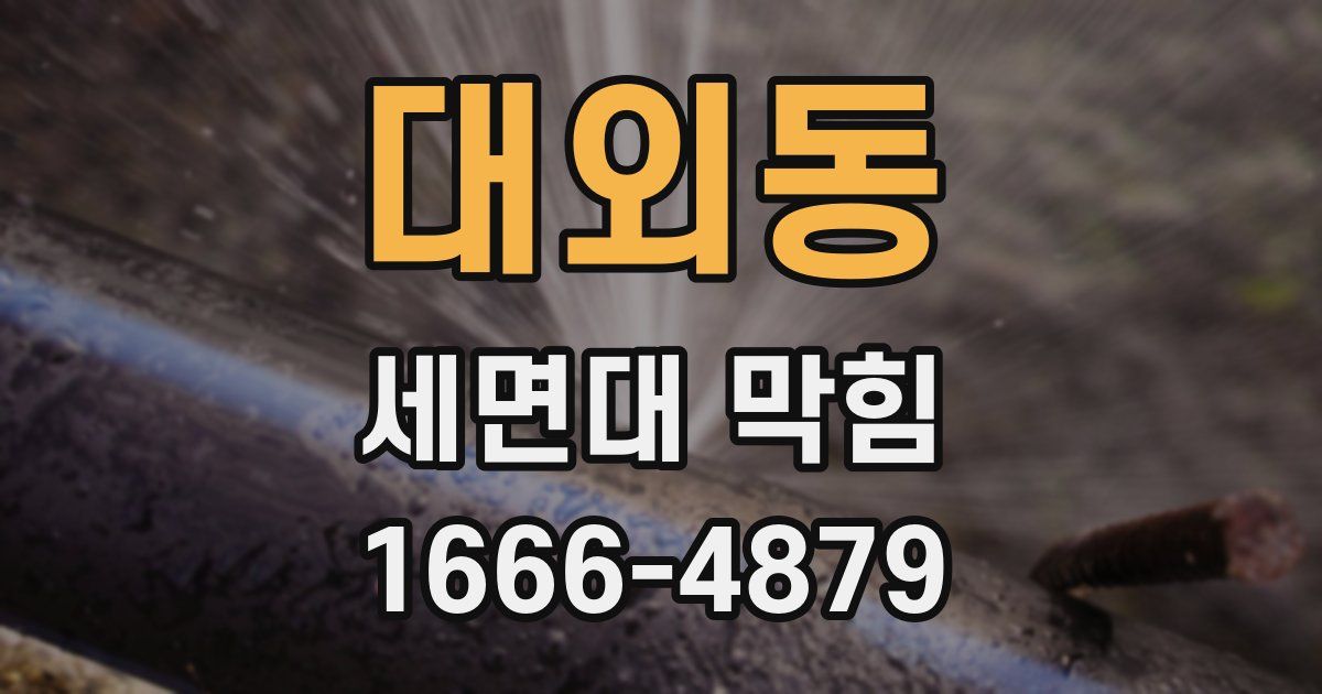 대외동 세면대 막힘
