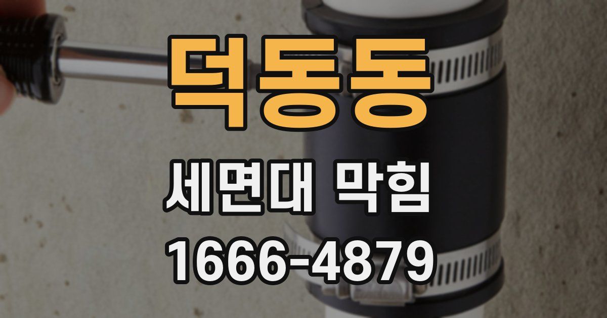덕동동 세면대 막힘