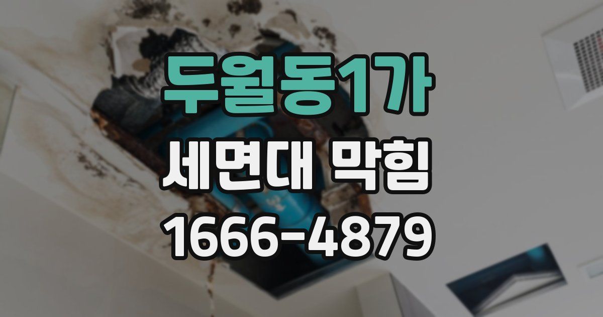 두월동1가 세면대 막힘