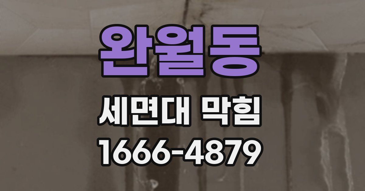완월동 세면대 막힘