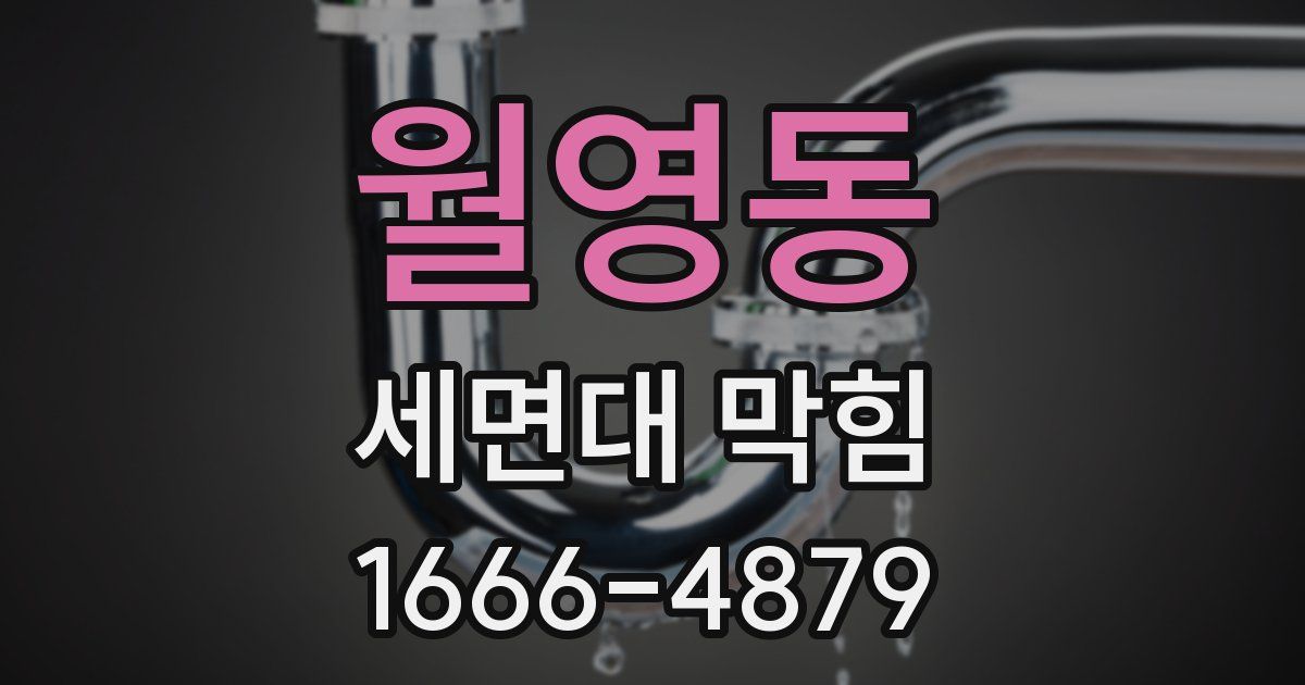 월영동 세면대 막힘