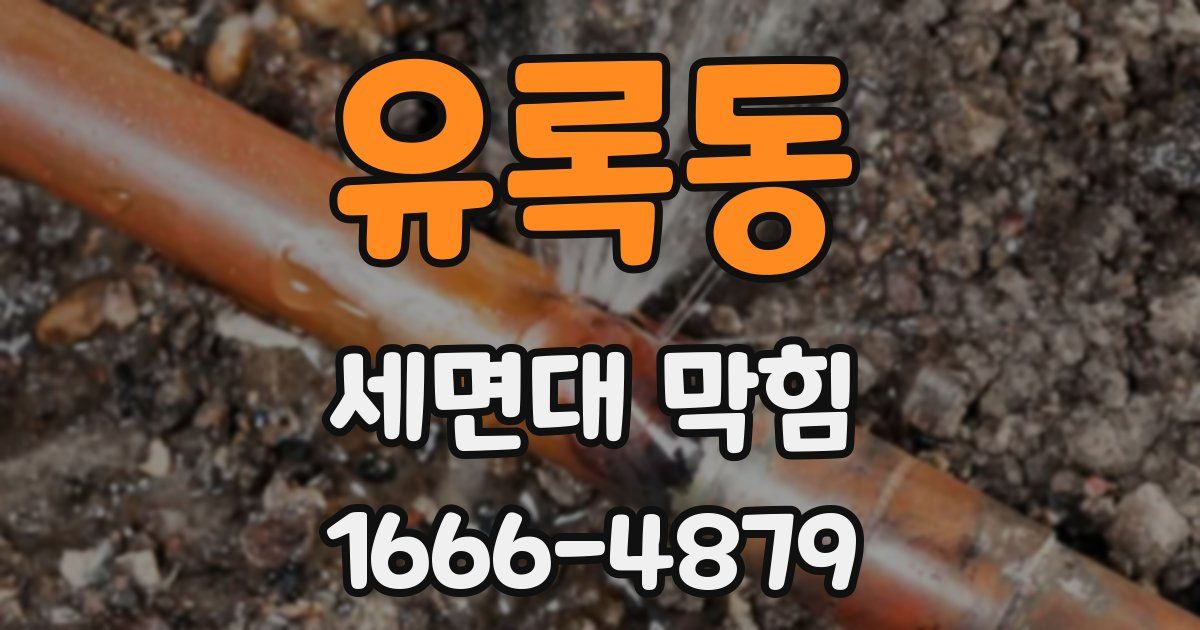 유록동 세면대 막힘