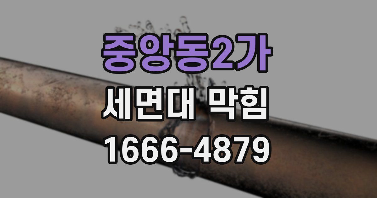 중앙동2가 세면대 막힘