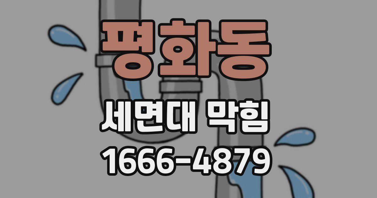 평화동 세면대 막힘