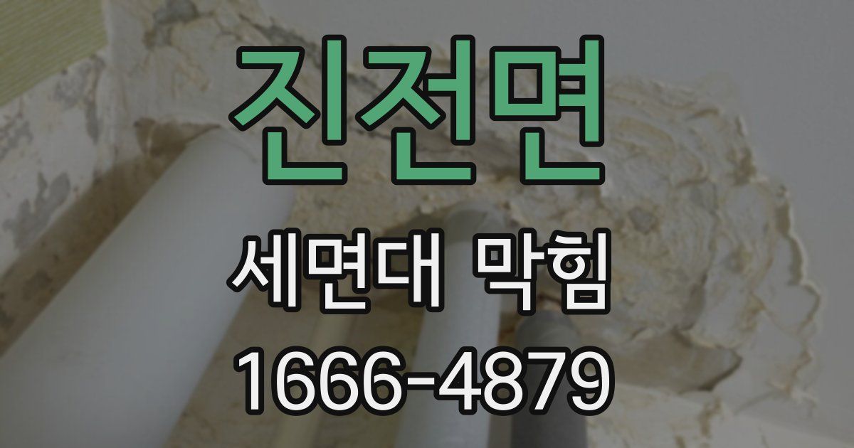 진전면 세면대 막힘