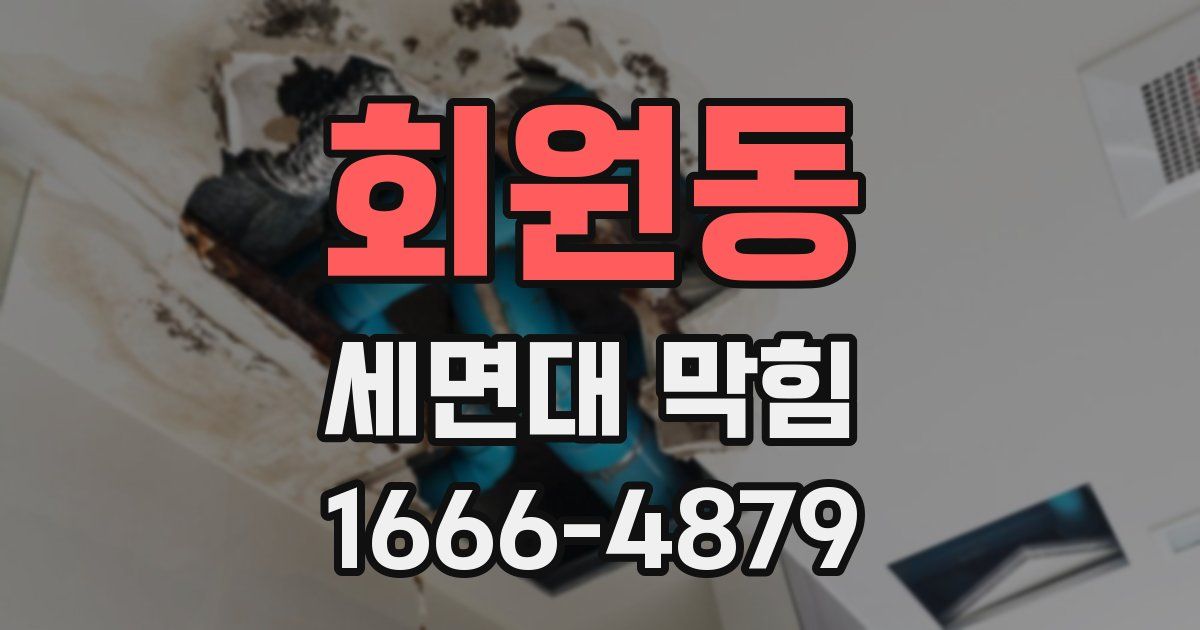 회원동 세면대 막힘
