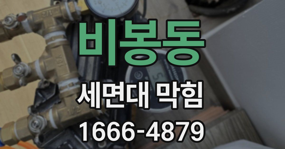 비봉동 세면대 막힘