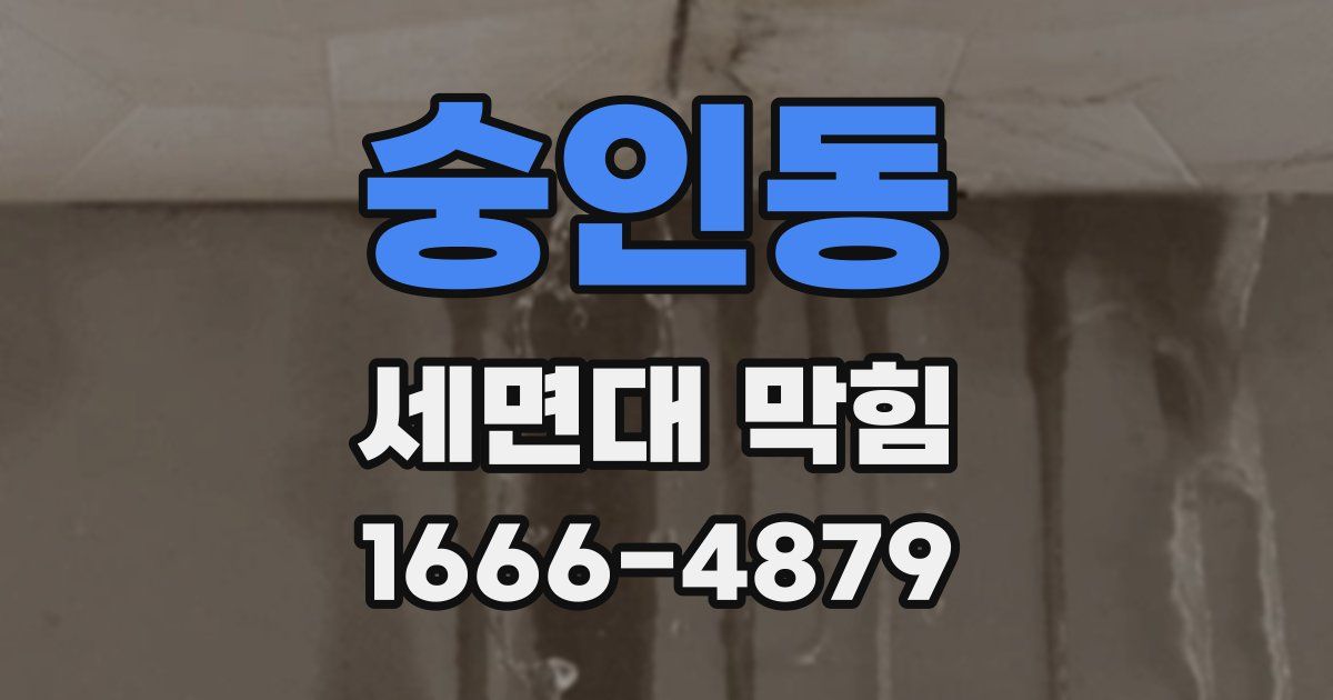숭인동 세면대 막힘