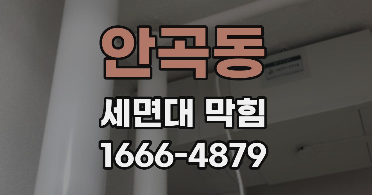 안곡동 세면대 막힘