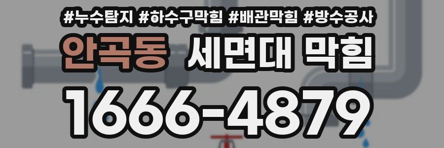 안곡동 세면대 막힘