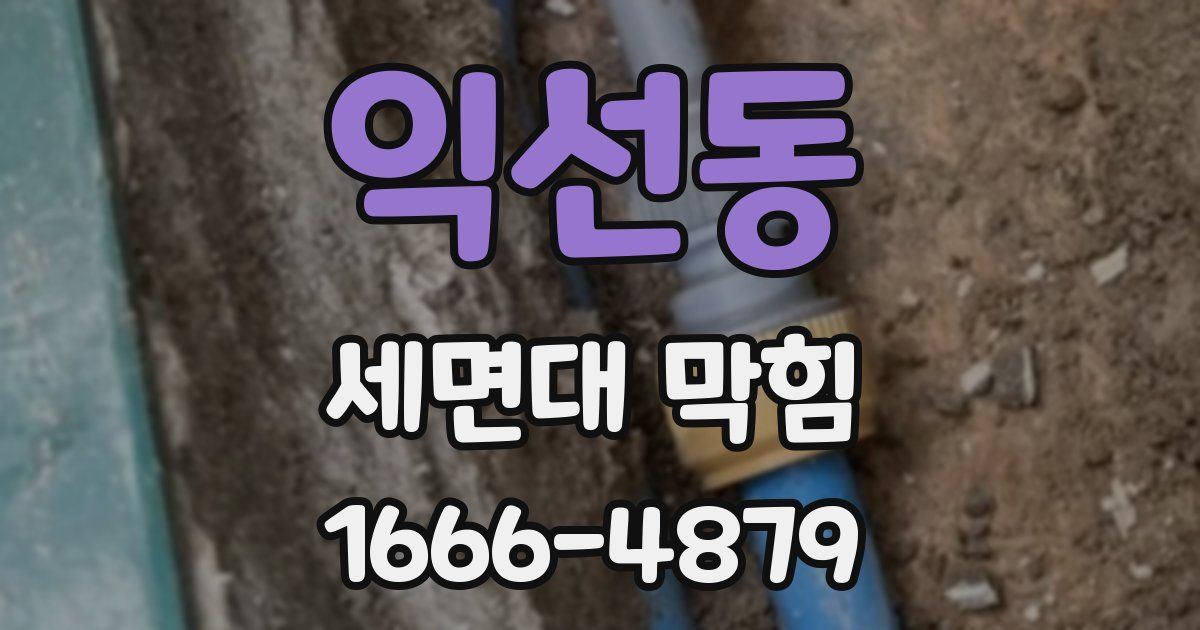 익선동 세면대 막힘