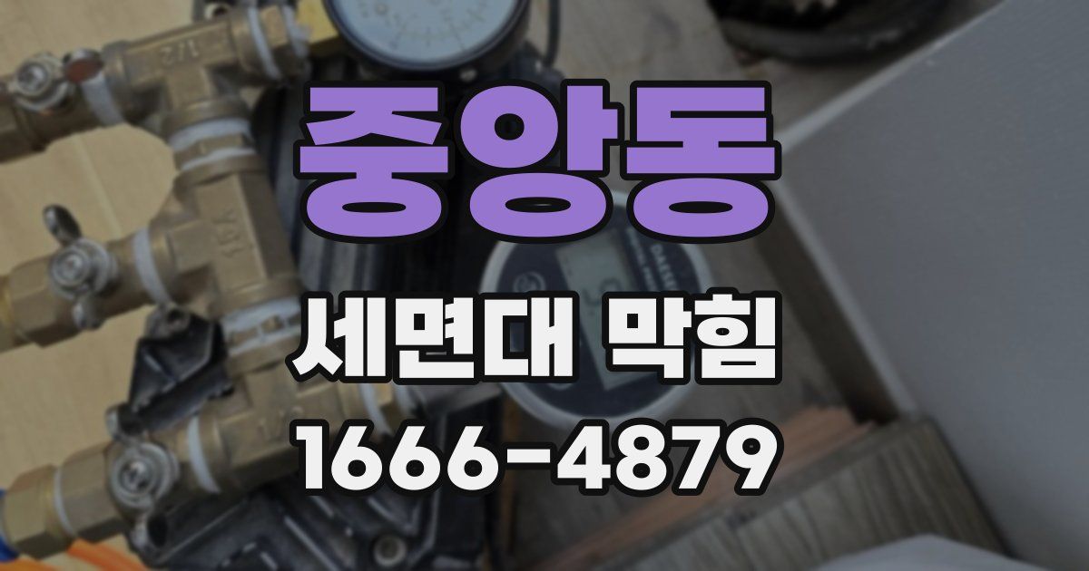 중앙동 세면대 막힘