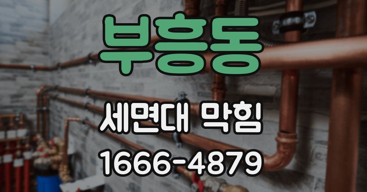 부흥동 세면대 막힘