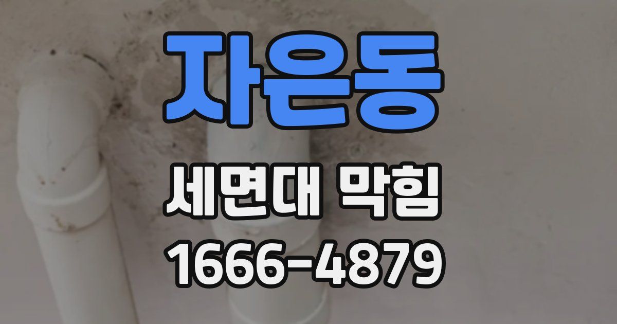 자은동 세면대 막힘