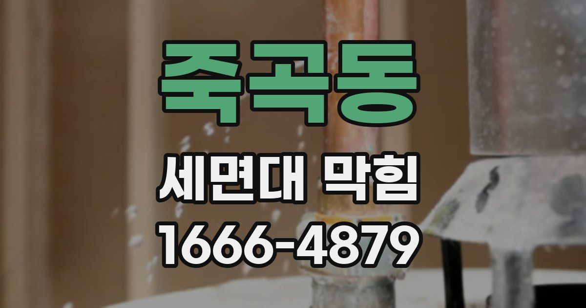 죽곡동 세면대 막힘