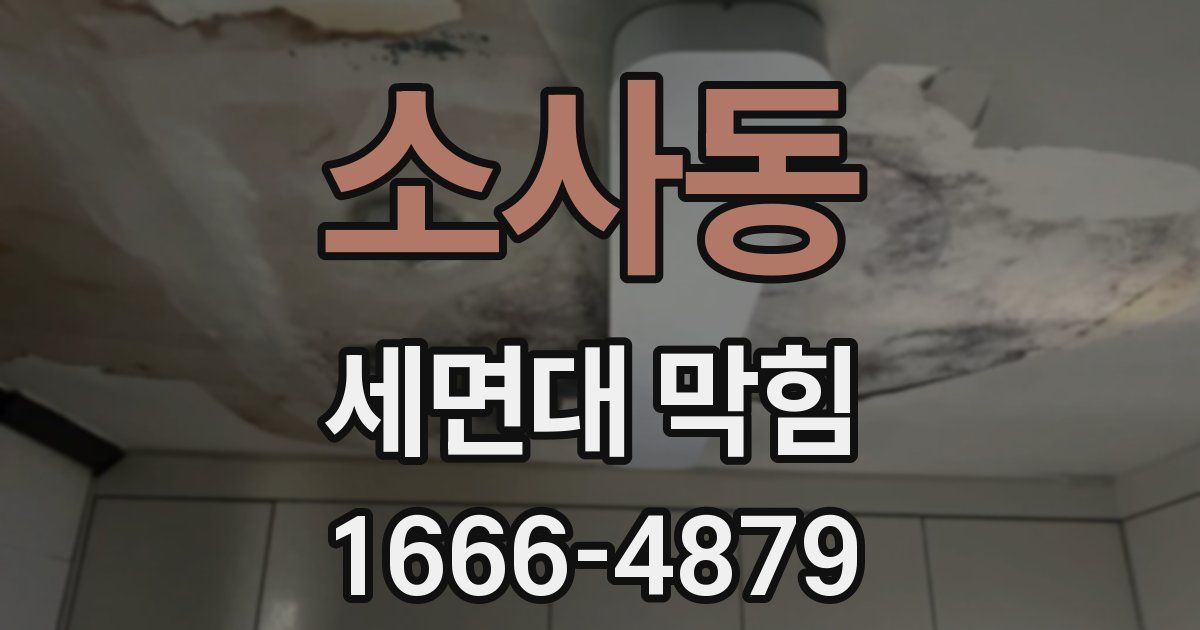 소사동 세면대 막힘