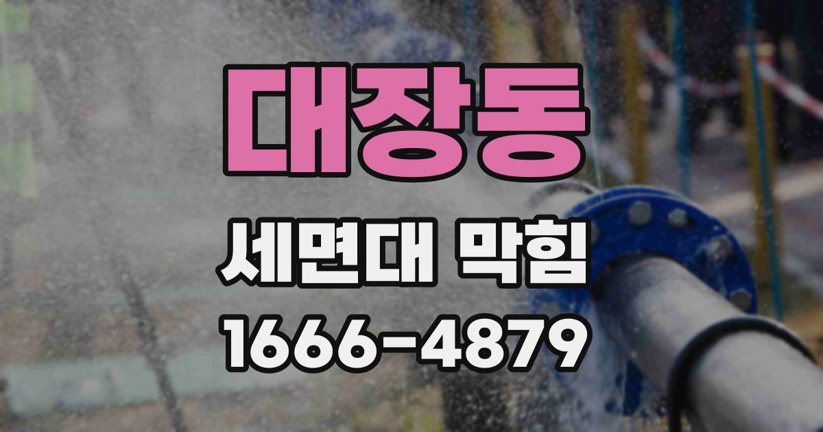 대장동 세면대 막힘
