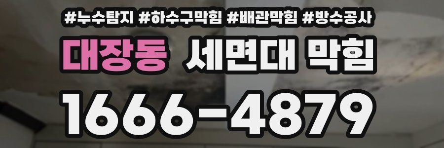대장동 세면대 막힘