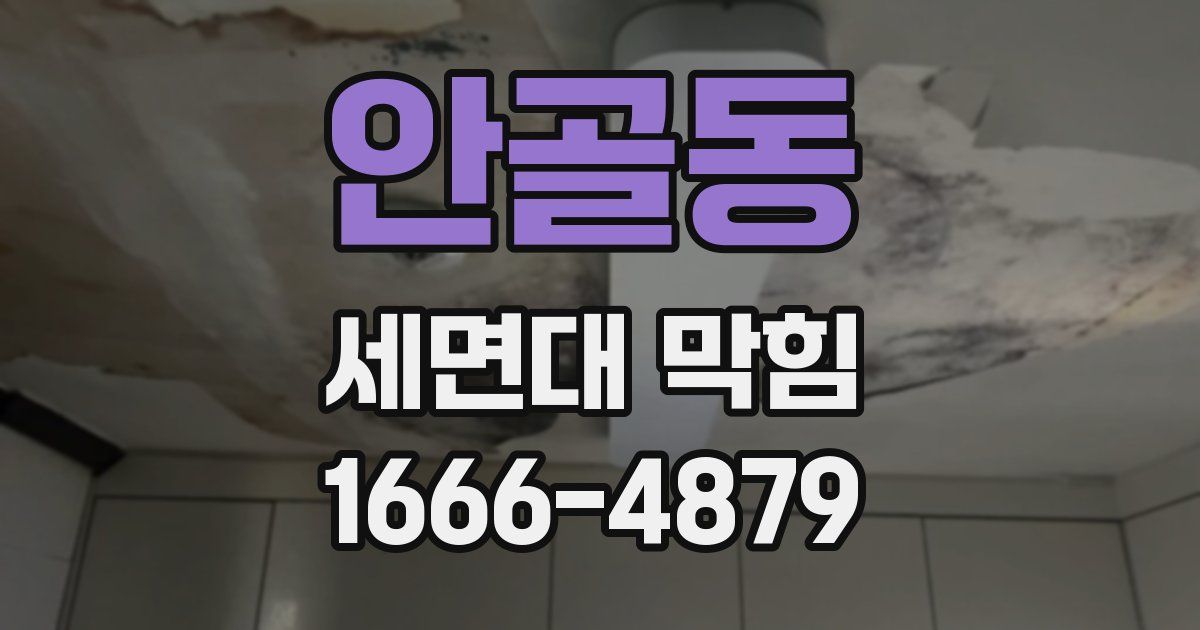 안골동 세면대 막힘