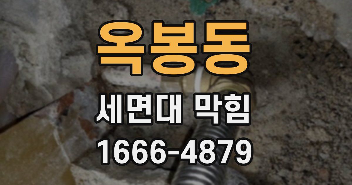 옥봉동 세면대 막힘