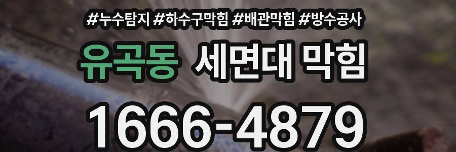 유곡동 세면대 막힘