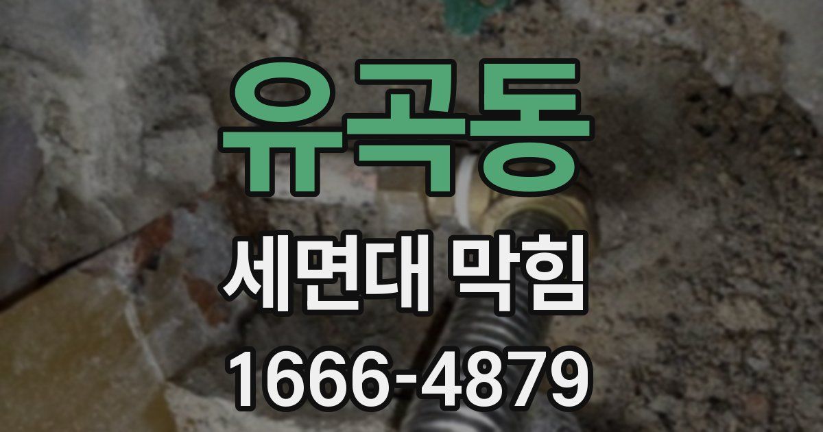 유곡동 세면대 막힘