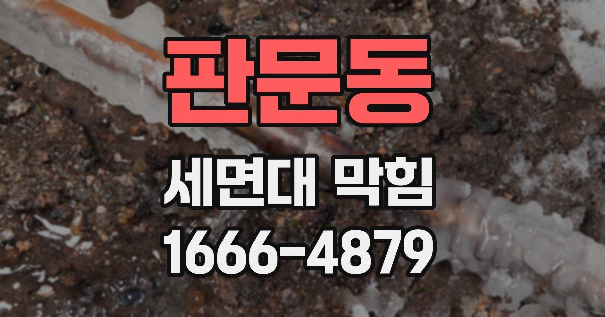 판문동 세면대 막힘