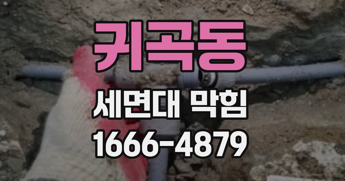 귀곡동 세면대 막힘