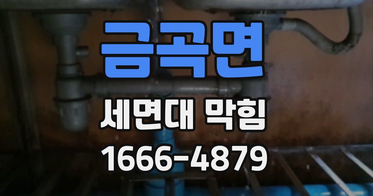 금곡면 세면대 막힘