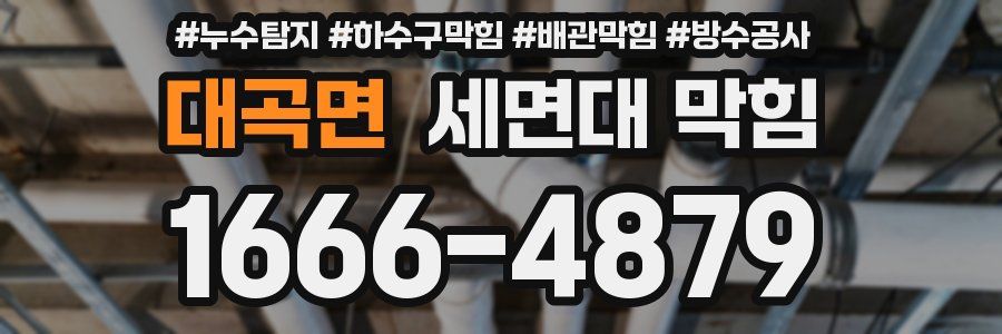 대곡면 세면대 막힘