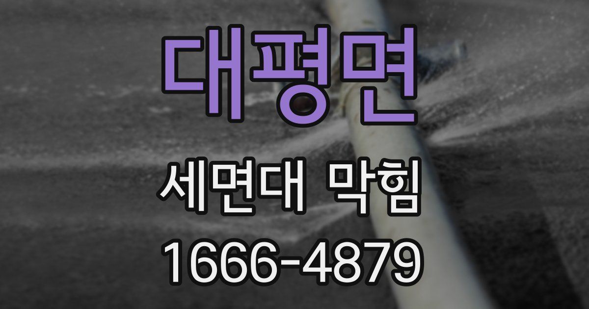 대평면 세면대 막힘