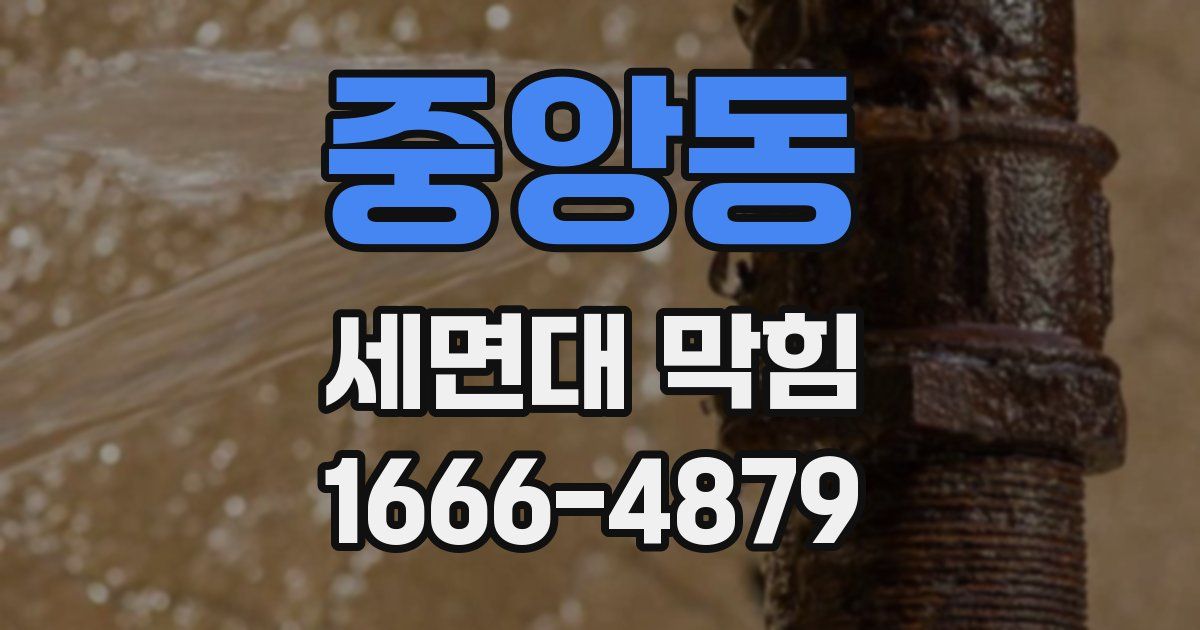 중앙동 세면대 막힘