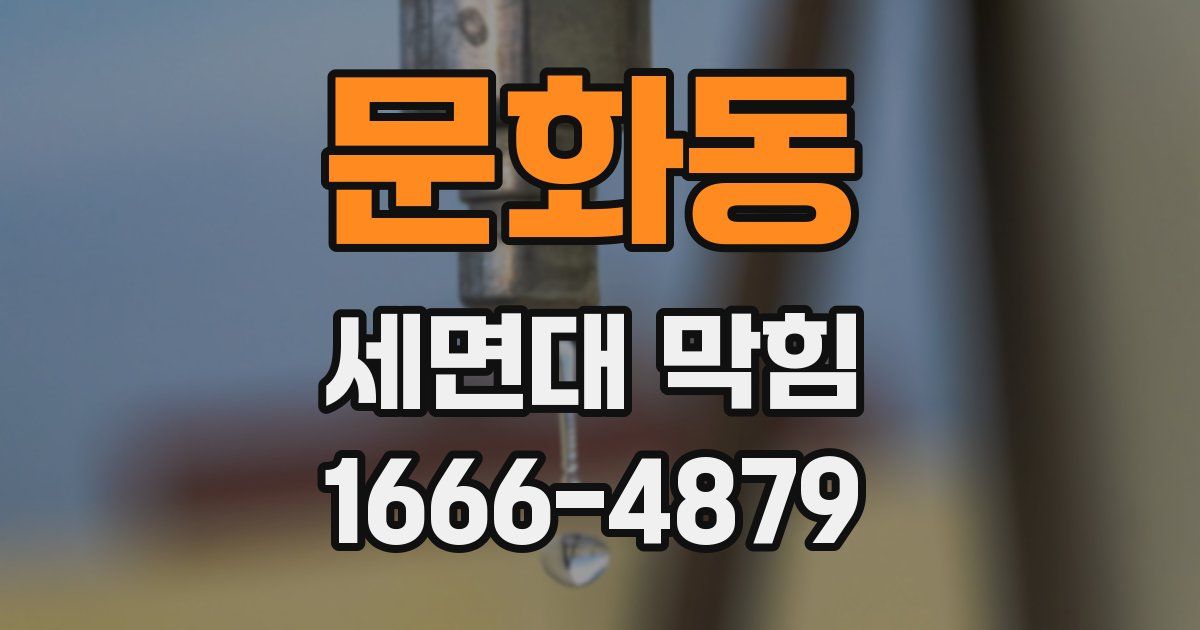 문화동 세면대 막힘